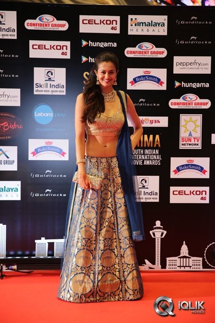 Celebs-at-SIIMA-2016